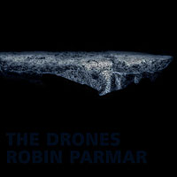 The Drones